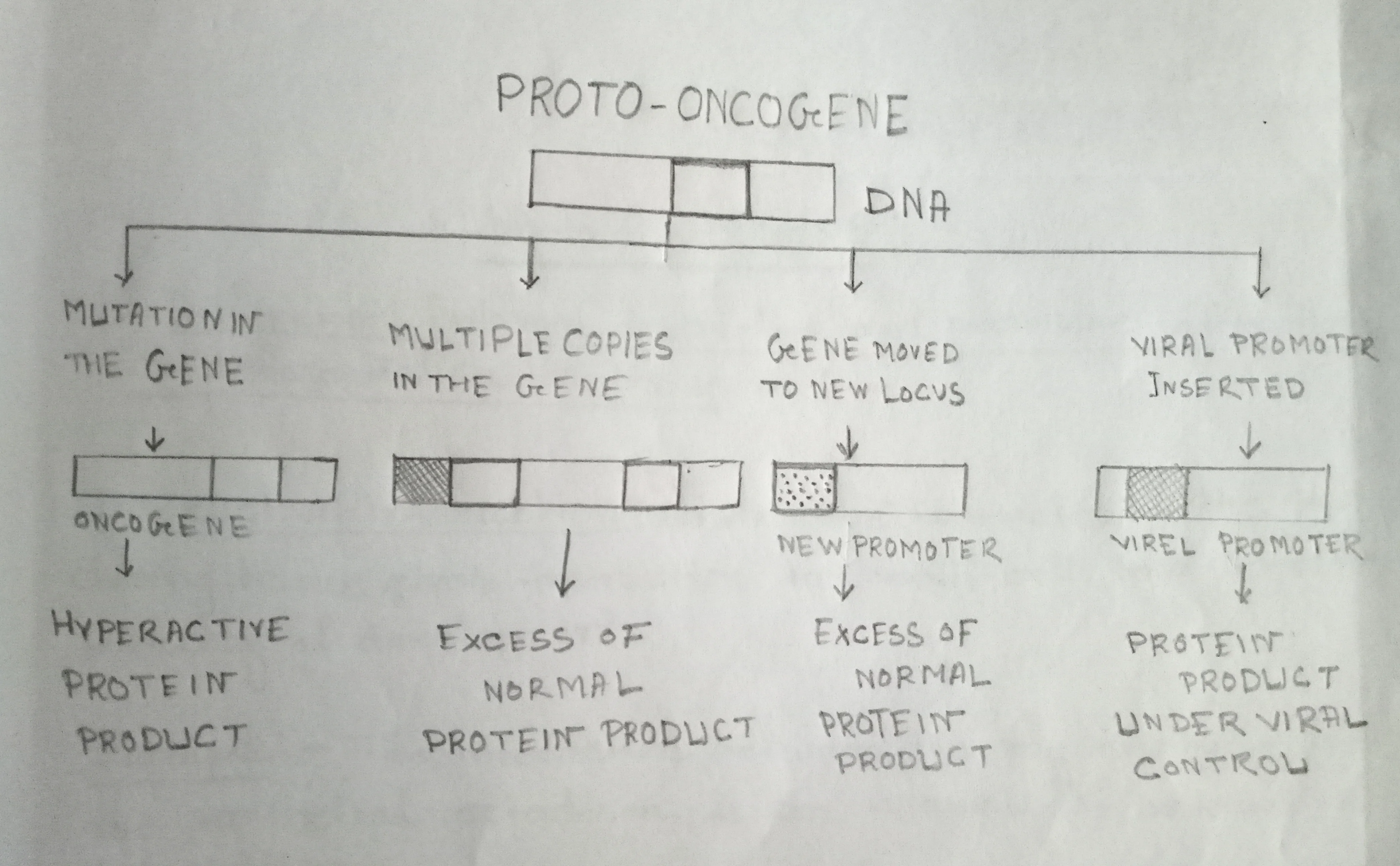 Alternate ways of converting Proto-oncogenes to oncogenes